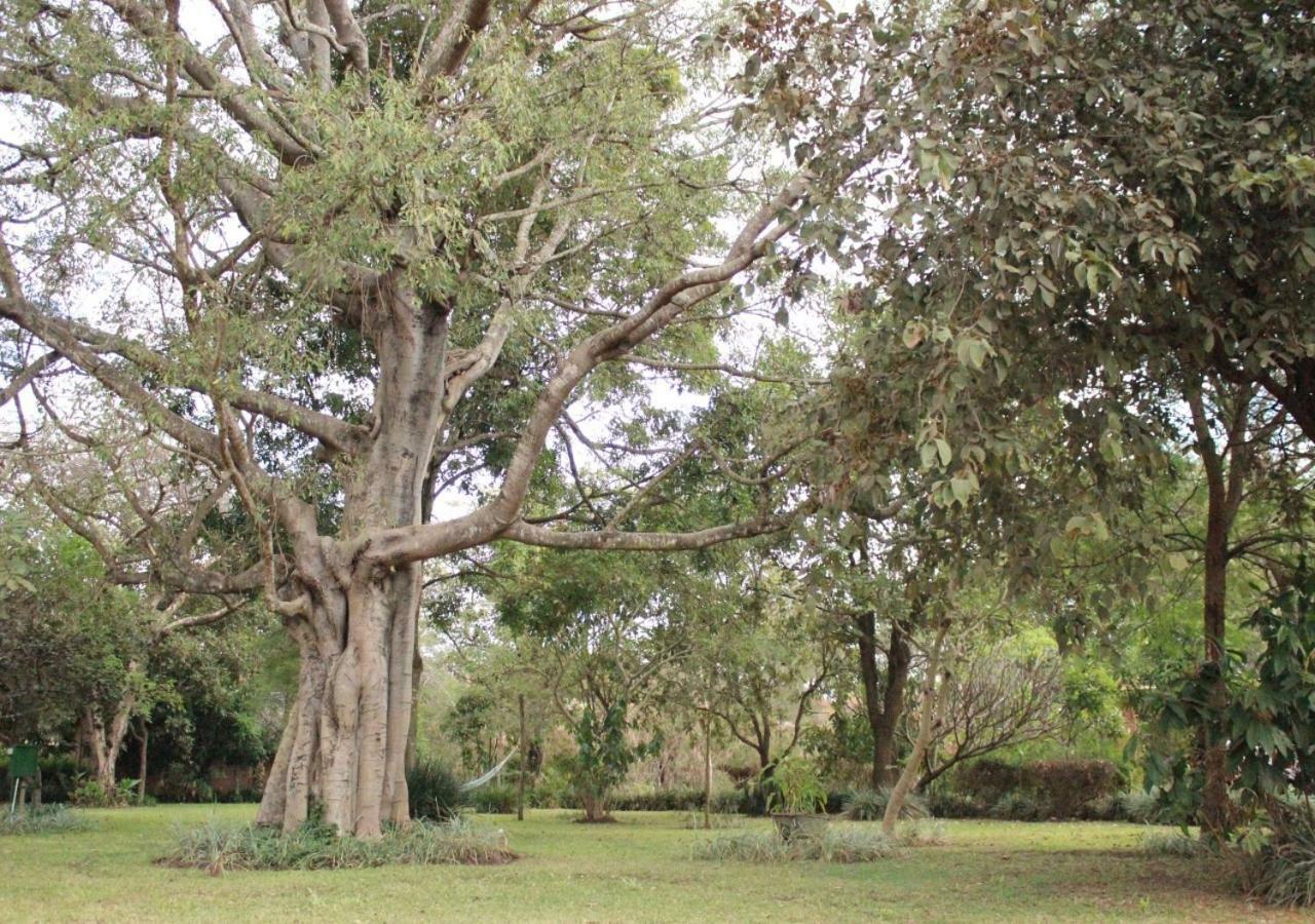 Barefoot Lodge And Safaris - Malawi Lilongwe Exterior photo